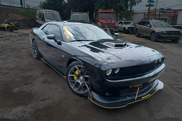 Custom Vehicle Graphics